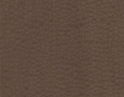 Peacock Brown 18.37